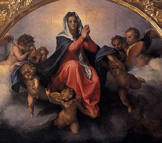 Andrea del Sarto Assumption of the Virgin France oil painting art